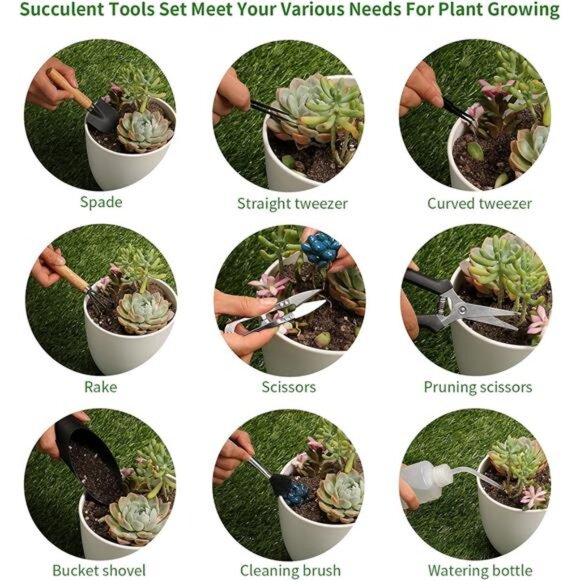 11Pcs Succulent Tools,Garden Tools,Succulent Watering Tool as Plant Accessories - Picture 3 of 7